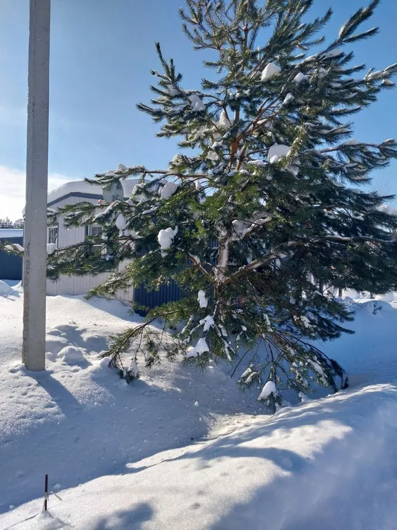 Современный дом с удобствами 1 линия озеро Селигер