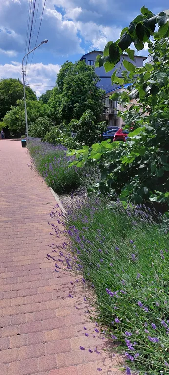 Апартаменты у моря