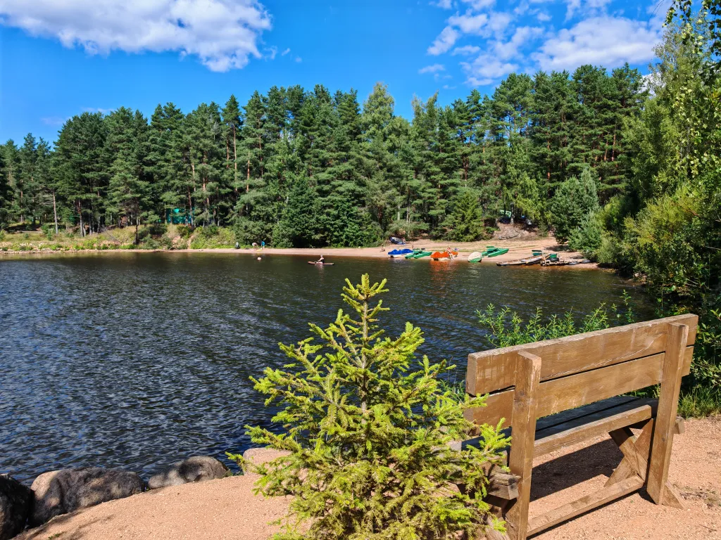 Коттедж Номер на Селигере у озера в сосновом бору — Турбаза Чайка