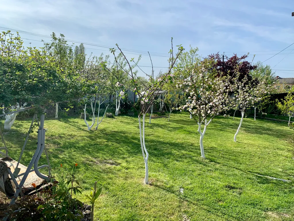 Сияние Солнца