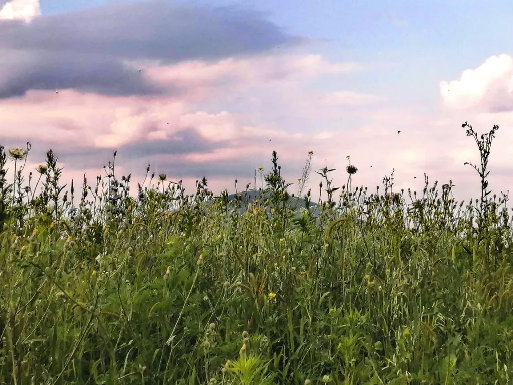 Уютный домик для отдыха в Пятигорске