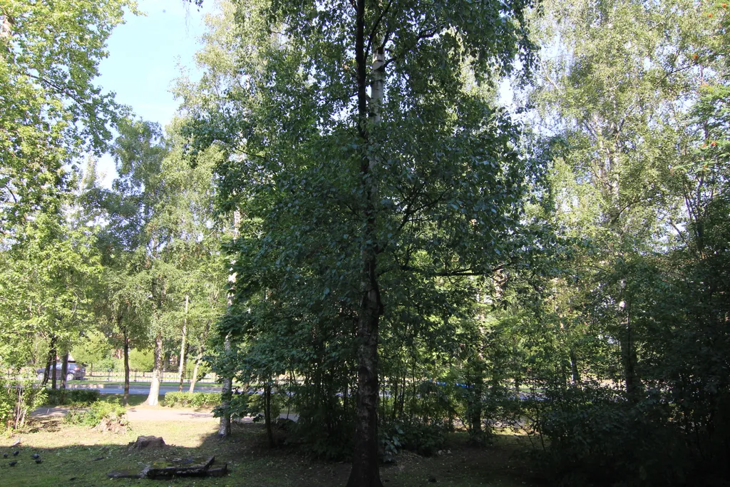 Квартира люкс рядом с центром города