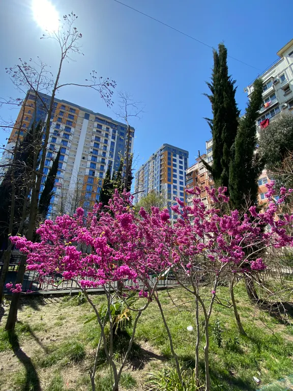 Квартира Квартира АдлерСкайСтудио — Адлер