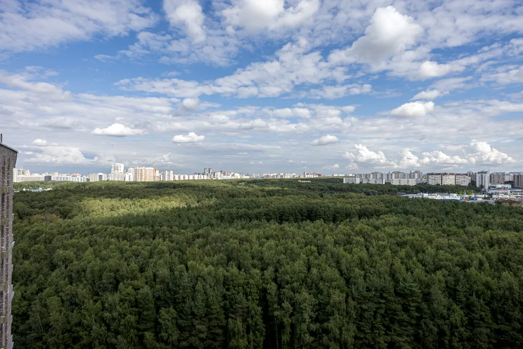 Стильная квартира-студия, метро Румянцево