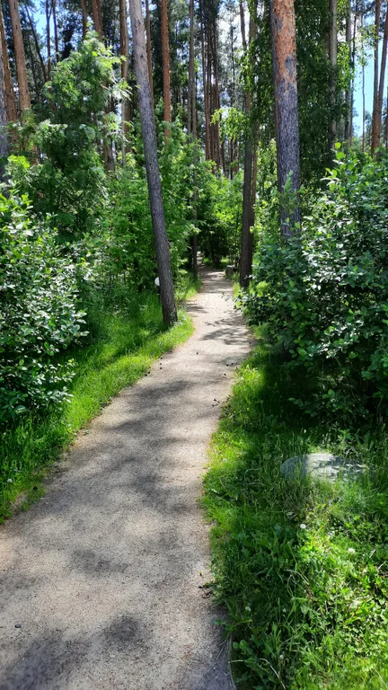 Таунхаус в Яхонтовом лесу