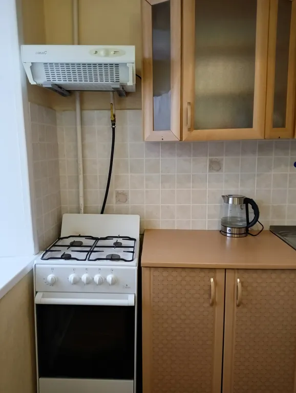 Квартира рядом с механическим заводом