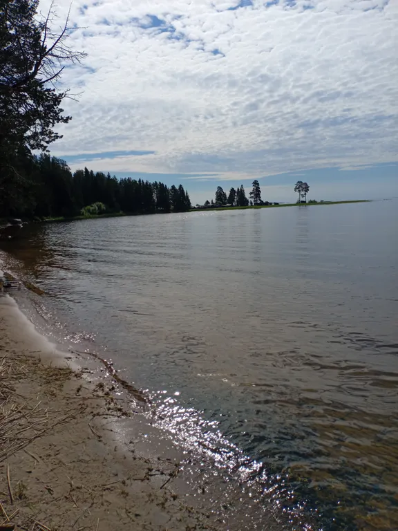 Дом у леса недалеко от песчаного пляжа