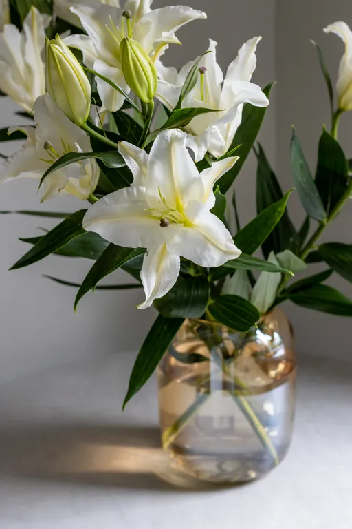 Красивая квартира