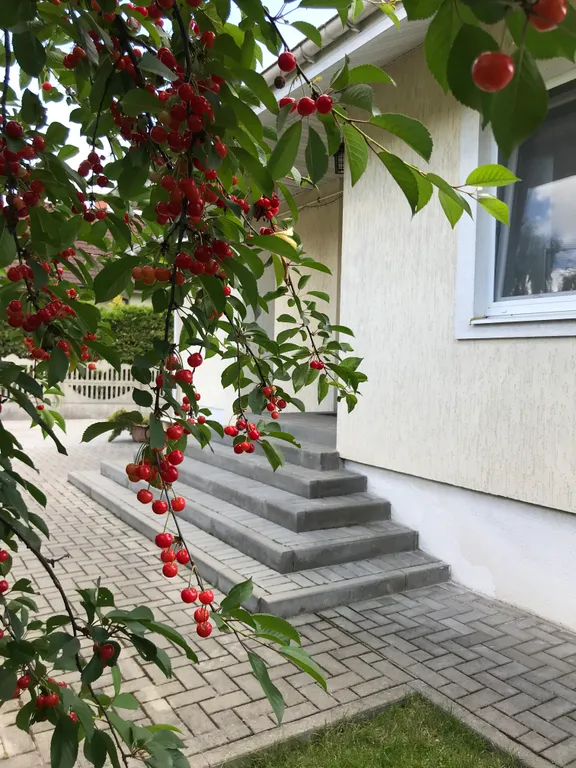 Брестский гостевой дом danfam