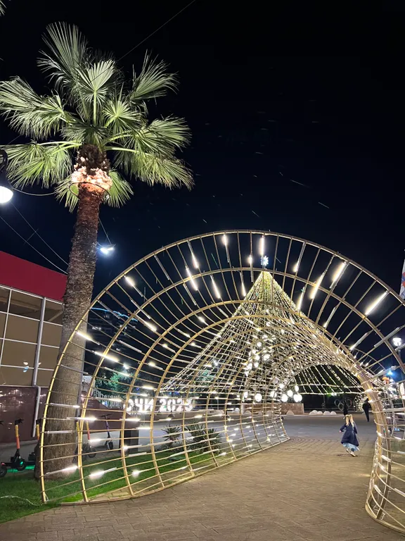 Квартира с видом на пальмы