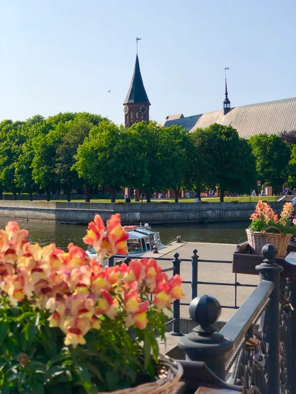 Уютная квартира в историческом центре Калининграда