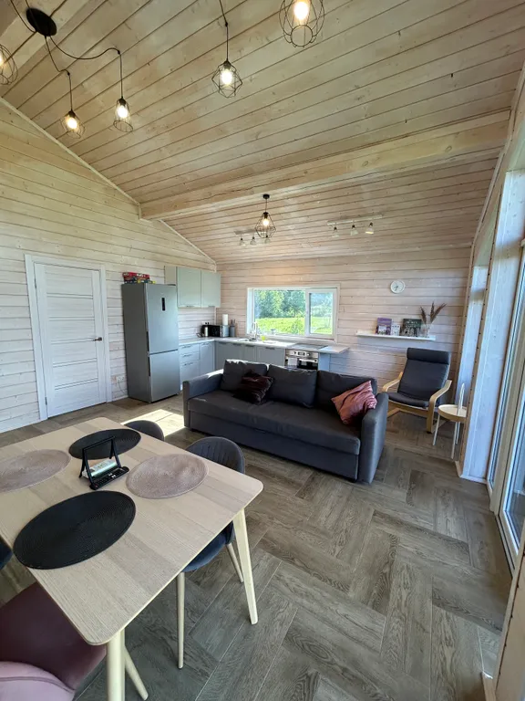 Дача у Цапли