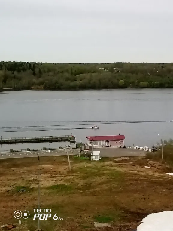 Квартира у живописного тихого пруда