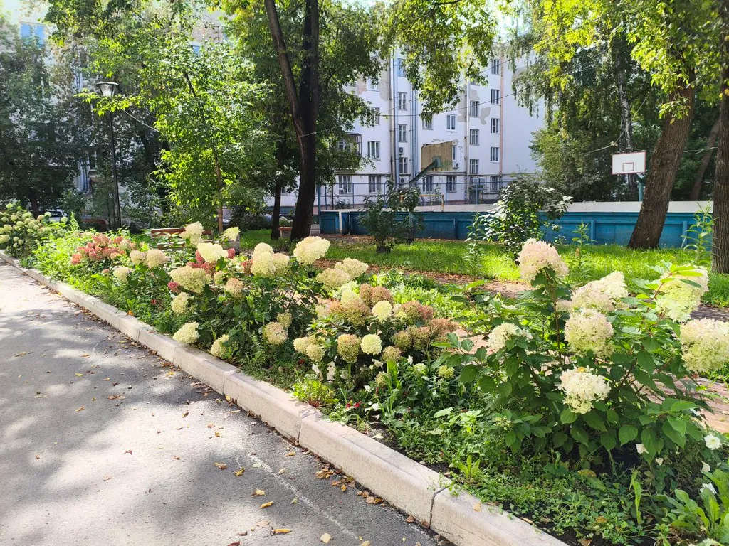 Квартира Двухкомнатная квартира в центре Втузгородка - Проспект Ленина 103 — Екатеринбург