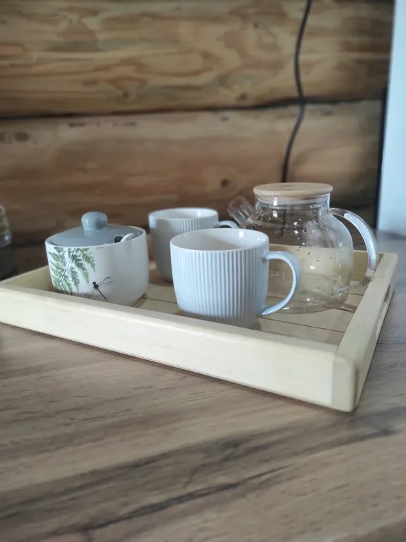 Экодомик из рубленого бревна с дровяной сауной