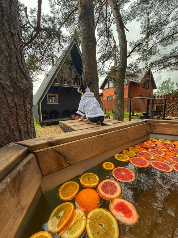Большой треугольный домик с камином, с ванной у окна с видом на лес