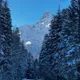 Тамара