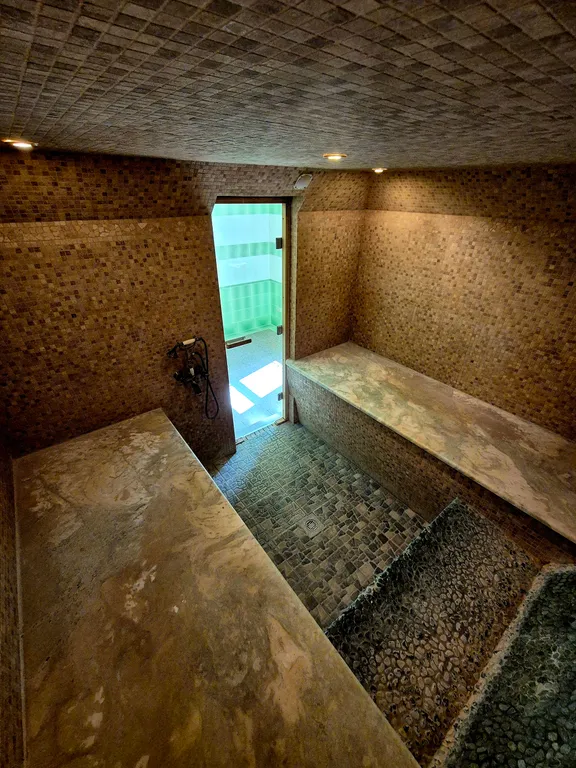 Особняк с большим бассейном в живописном лесном поселке