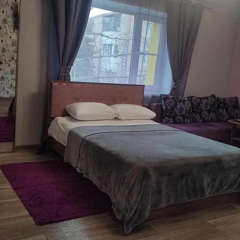 Квартира Студия в фиолетовых тонах — аренда посуточно в Елизово