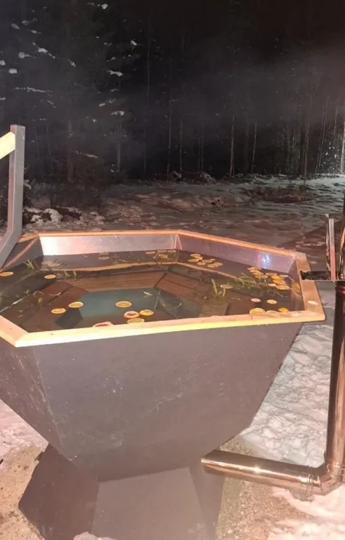 Волчье Логово, комфортный уединённый дом в лесу