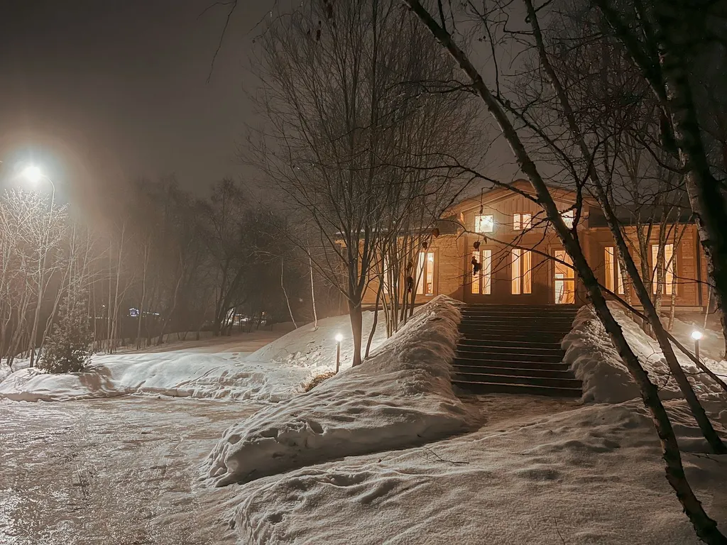 Усадьба (Sky house/ Wood house)