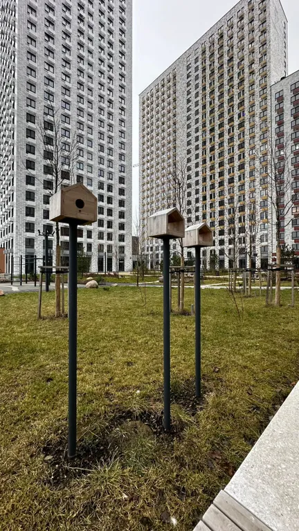 Интересная студия у метро Свиблово