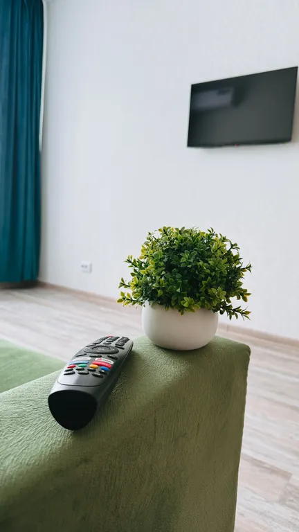 Новая квартира Новые сады