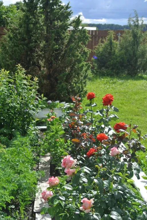 Домик у озера