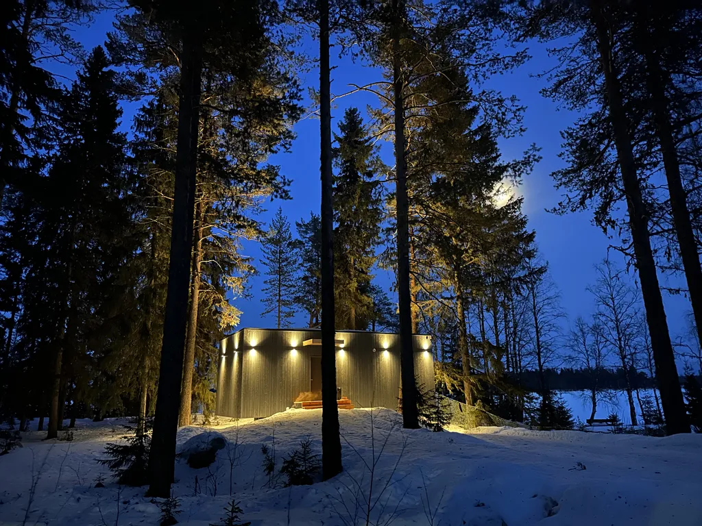 Дом в Карелии с видом на сосновый лес