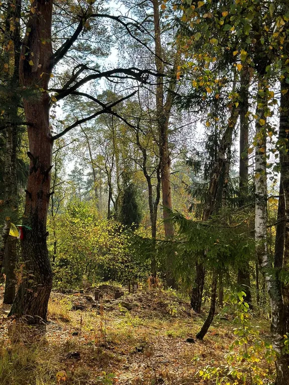 Dacha-vibe дом Грушенька