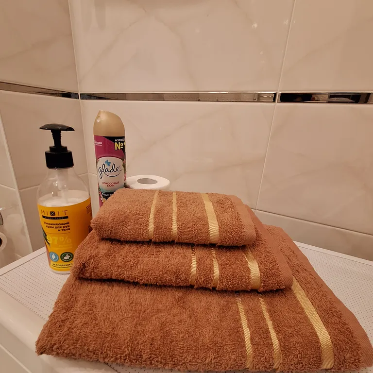 Квартира Студия Люкс у аэропорта Толмачево — Обь