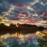 Алексей Воробьев