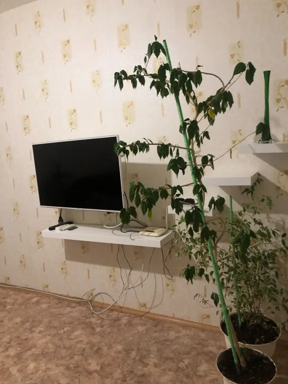 Отличная квартира