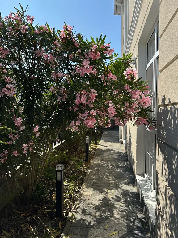 Премиум дом с бассейном Villa Prime