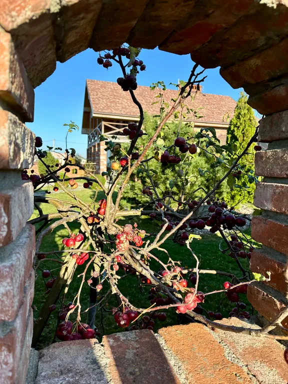 Дом-усадьба с видом на море с баней и беседкой