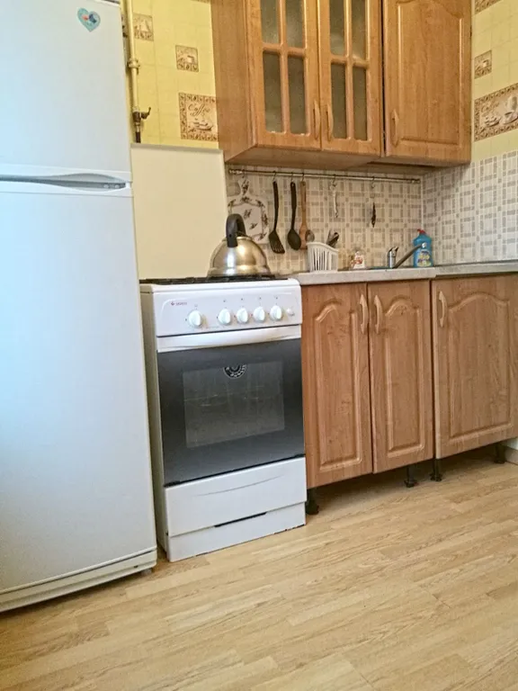 Уютная квартира в центре у метро Молодежная, Пушкинская