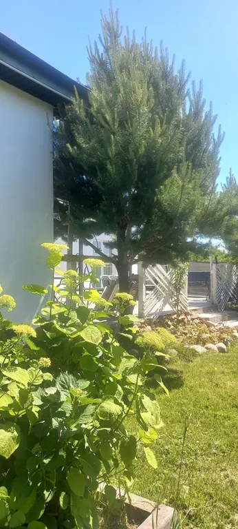 Дом с террасой на берегу моря