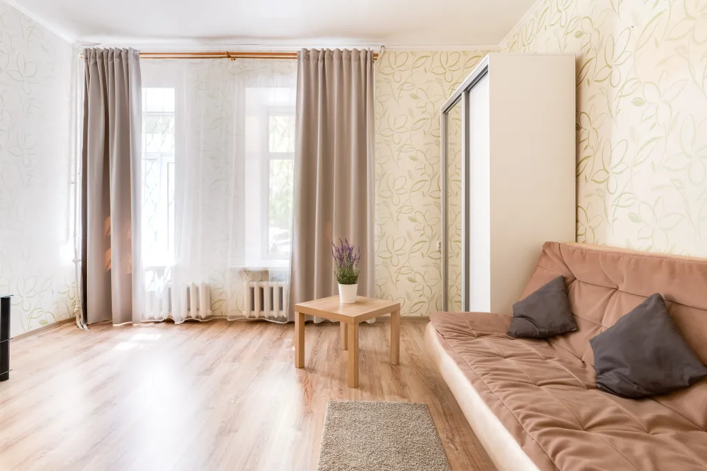 Большая однушка в центре