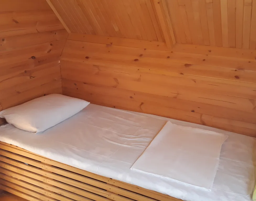 Оздоровительный сон на пчелах