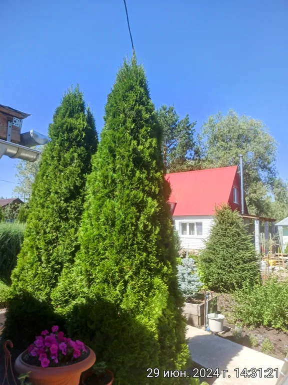 Коттедж в Царевщине