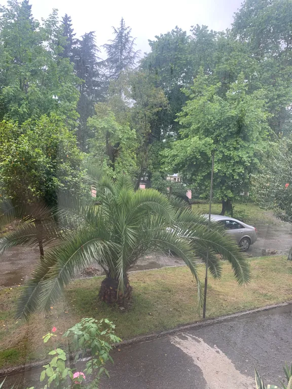 Квартира рядом с морем