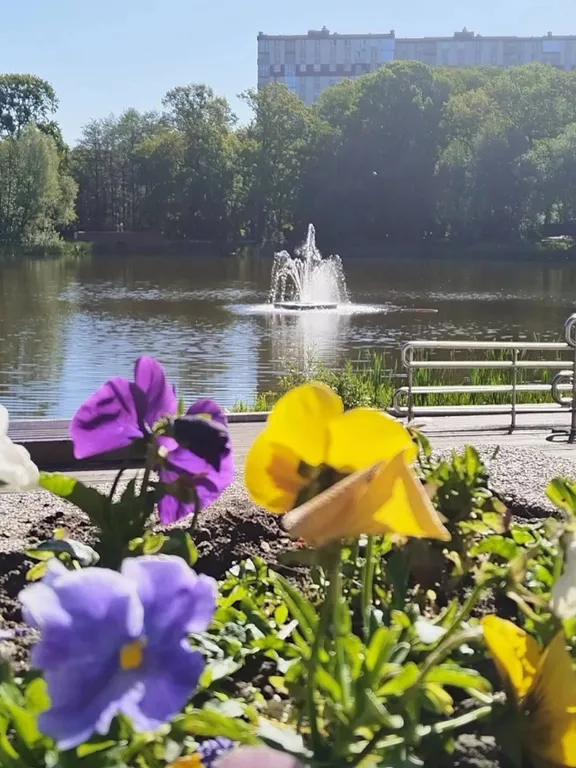 Квартира Уютная квартира возле Летнего озера — Калининград