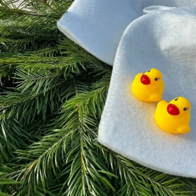 Дом с баней, банным чаном и индивидуальной мангальной зоной