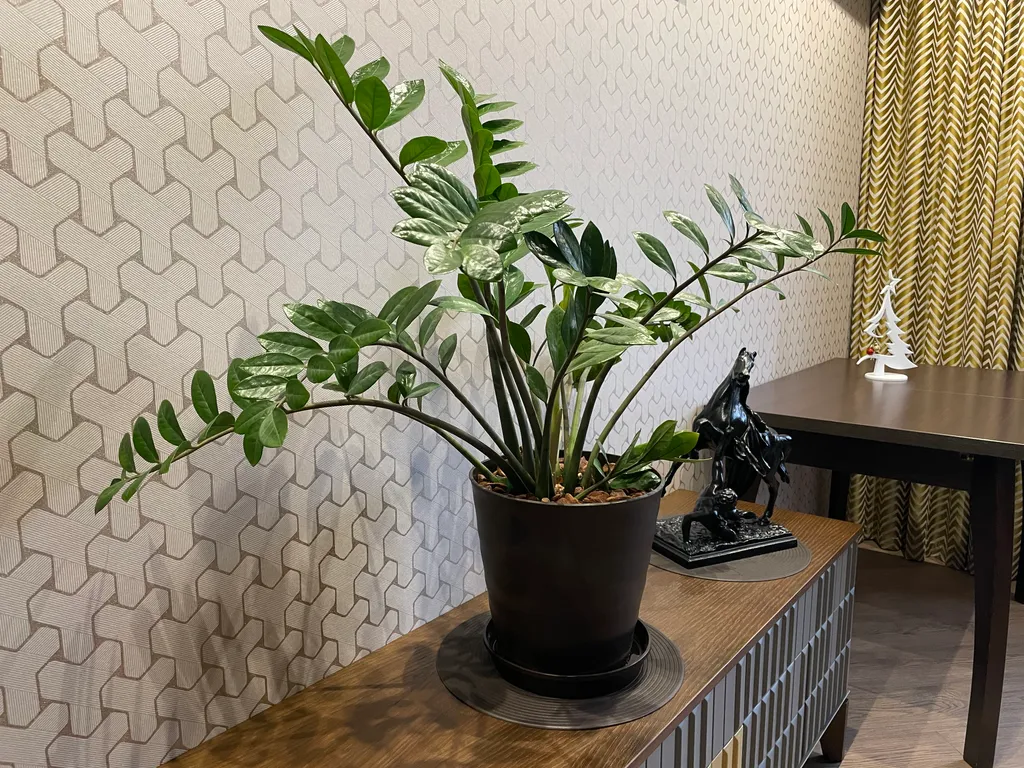 Квартира со свежим дизайнерским ремонтом