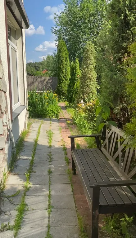 Тёплый коттедж в лесу