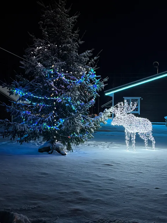 Коттедж Дом у реки с сауной — аренда посуточно в Рускеала