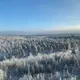 Северина