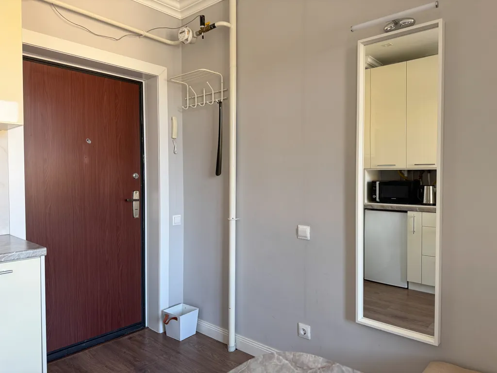 Квартира-студия с балконом у реки