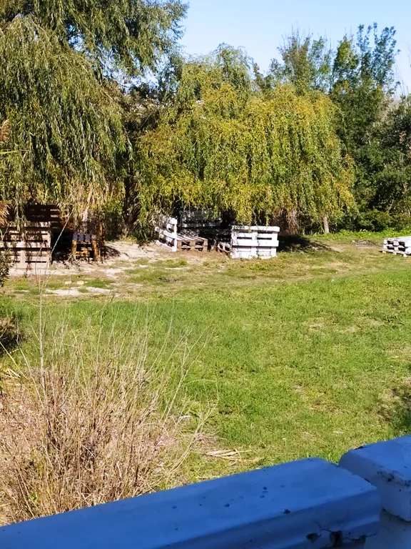 Номер с видом на море