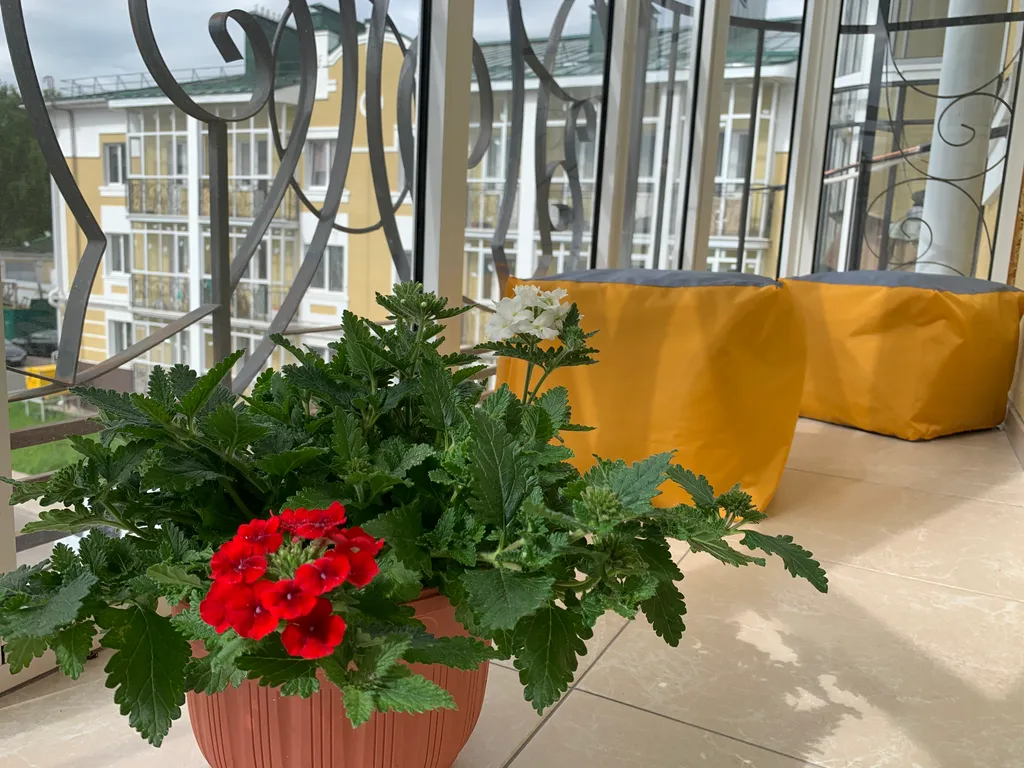 Двухуровневые апартаменты Снегурочка на набережной в центре города